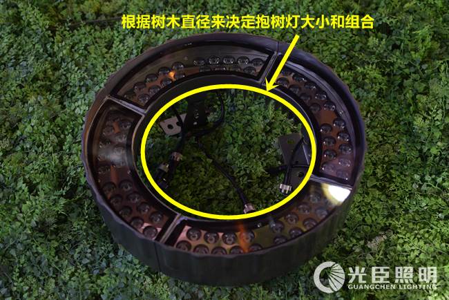 LED照樹(shù)燈 LED照樹(shù)燈