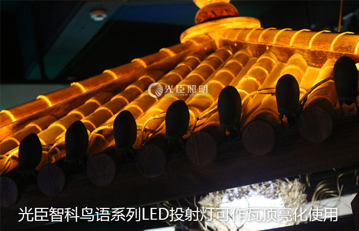 LED投射燈 LED投射燈