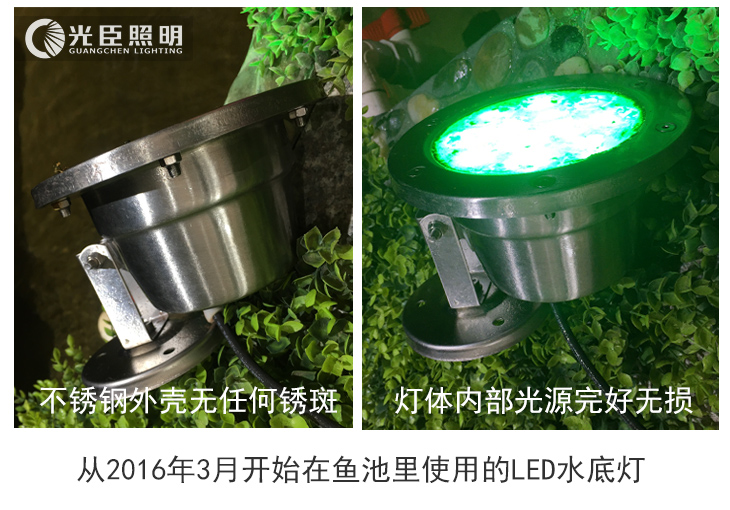 水底燈 水底燈
