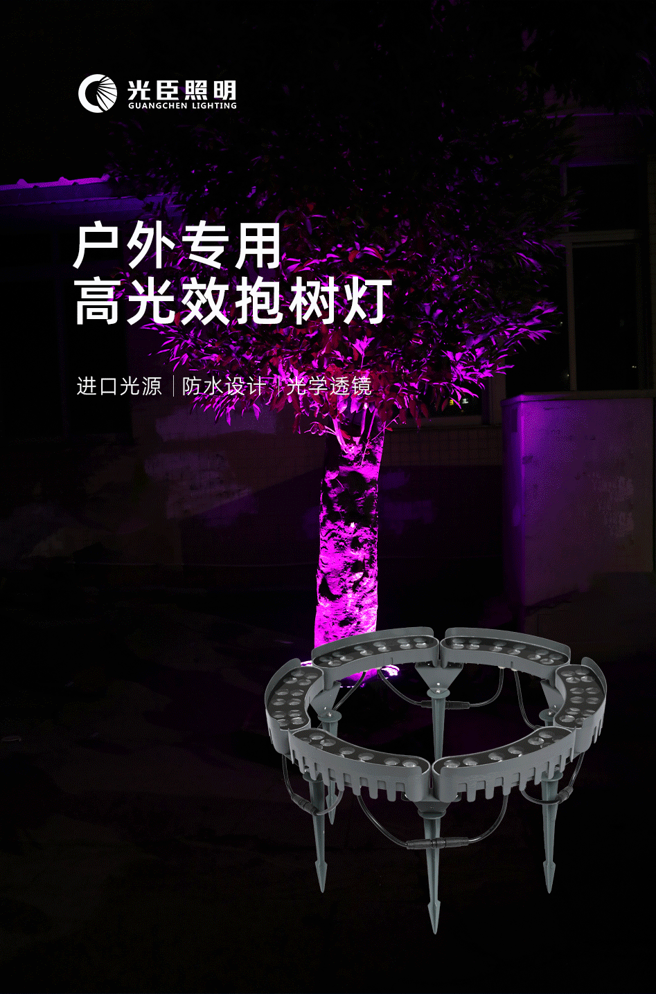 抱樹燈_02 抱樹燈_02
